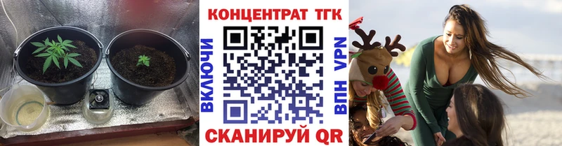 купить закладку  это какой сайт  Дистиллят ТГК Wax  Бирюсинск 